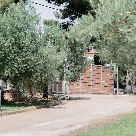 דירות מטהמורפוסי Aelia מראה חיצוני תמונה